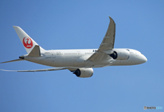「すかい」 JAL 787-8 JA843J Takeoff 