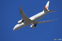 「はれ」JAL 787-8 JA821J  Takeoff  