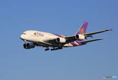 「すかい」 THAI A380-841 HS-TUF 着陸