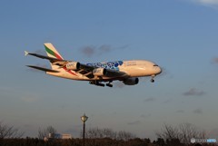 「良い空～」エミレーツ特別塗装 A380-861