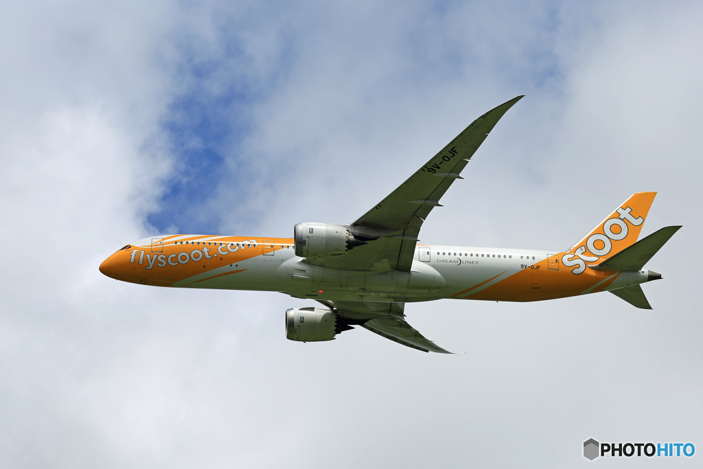 「はれ」 scoot 787-9 9V-OJF 離陸