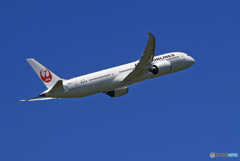 「蒼空」JAL 787-9 JA867J　飛び立ち