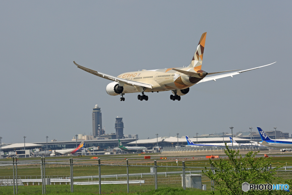「スカイ」 ETIHAD 787-9 A6-BLB 着陸します