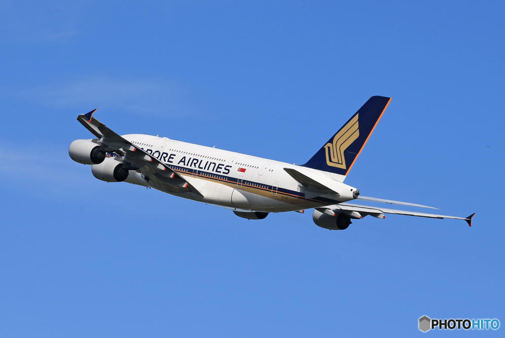 「あおいそら」Singapore A380-841 飛び立ちです