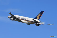 「あおいそら」Singapore A380-841 飛び立ちです