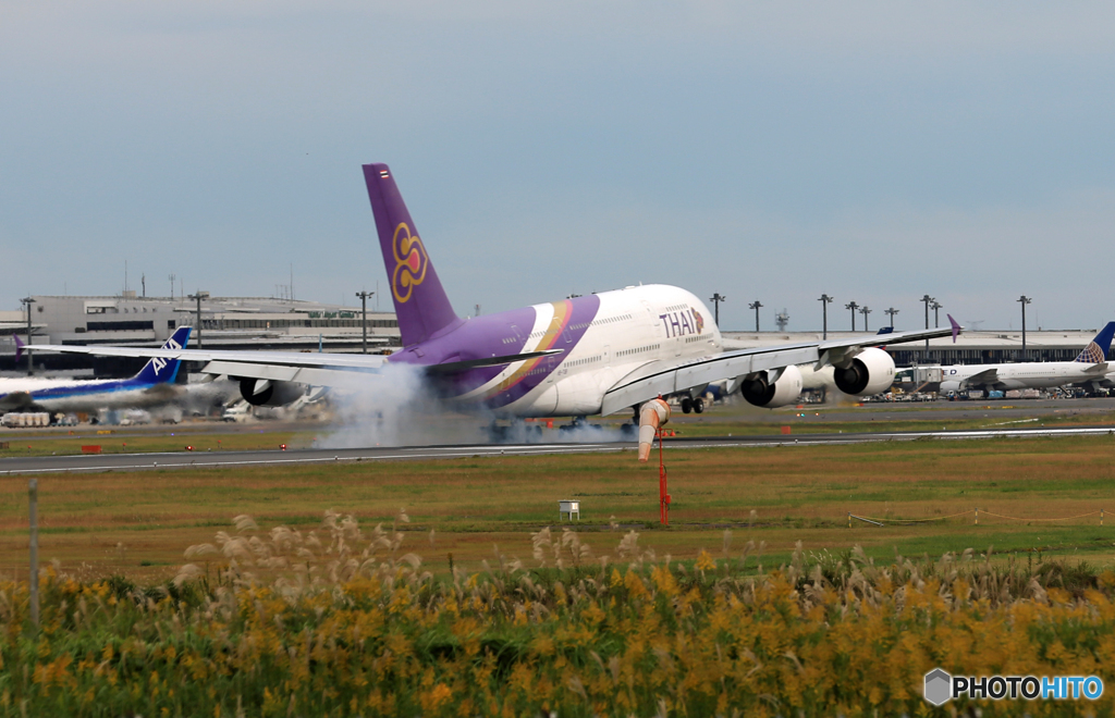 「青」 Thai A380-841 HS-TUB  Landing
