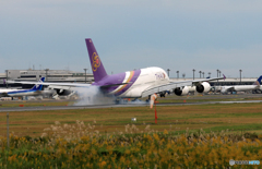 「青」 Thai A380-841 HS-TUB  Landing
