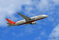 「すかい」 AIR INDIA 787-8 VT-ANR Takeoff 