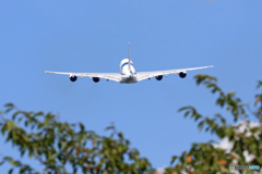 「あおぞら」 マレーシア航空A380-841 9M-MNE 出発です　