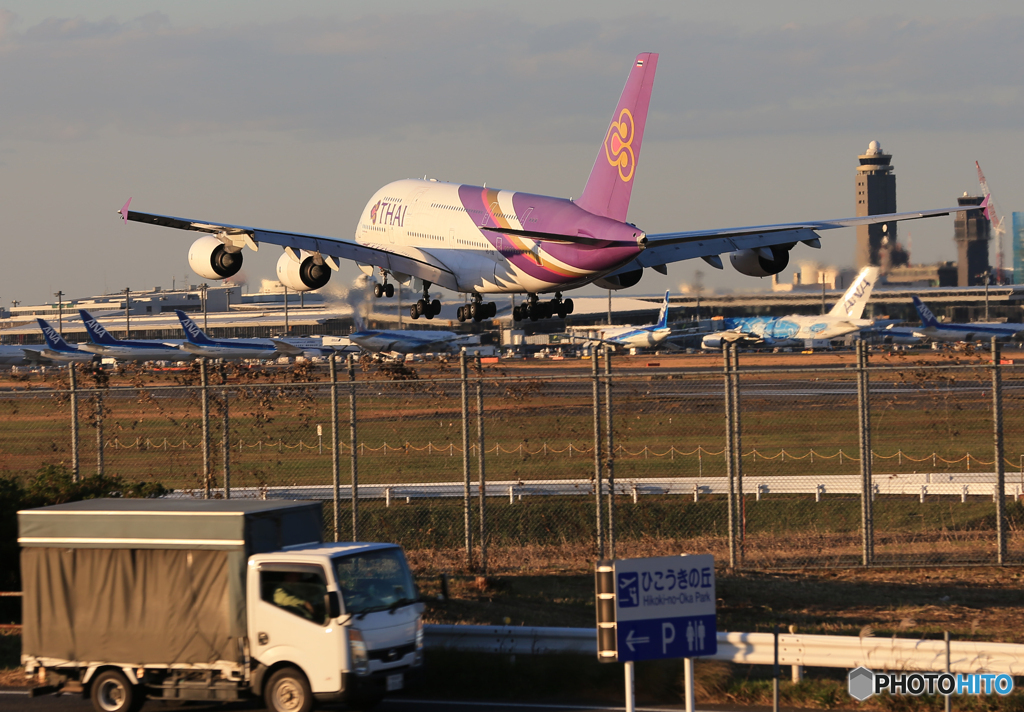 「cool」成田空港　ひこうきの丘・風景