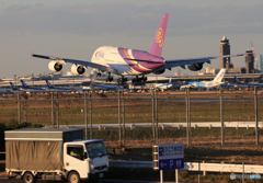 「cool」成田空港　ひこうきの丘・風景