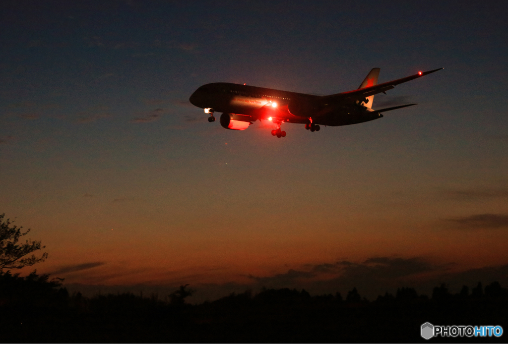 「あおいそら」Jetstar A320-232 シルエット　Landing