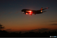 「あおいそら」Jetstar A320-232 シルエット　Landing