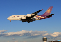  「青が好き」 THAI A380-841 Landing 