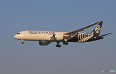 「青の空」 NZ' 787-9 ZK-NZG  Landing 