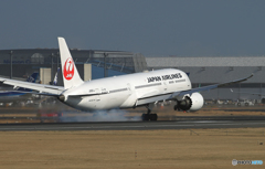 「晴れ」 JAL 787-9 JA861J Landing 