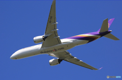 「青色」 THAI A350-941 HS-THG 離陸
