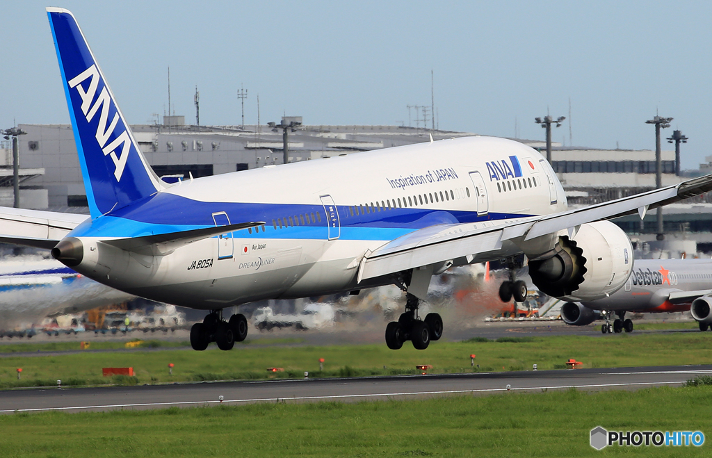 「青い空」が一番 ANA 787-8 JA805A