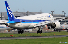 「青い空」が一番 ANA 787-8 JA805A