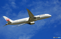 「青が好き」 JAL 787-9 JA867J 出発