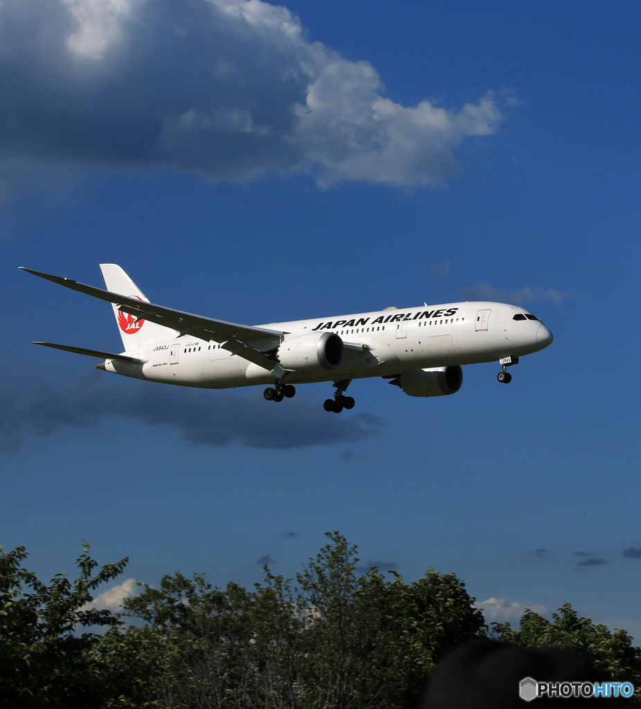 「ブルー」JAL 787-8 JA843J 到着