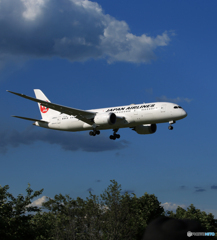 「ブルー」JAL 787-8 JA843J 到着