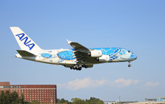 「良い天気」Flying Honu A380-841 着陸です