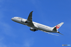 ☀「あおぞら」JAL 787-9 JA861J 離陸です