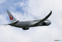「空色」 JAL 787-8 JA838J Takeoff 