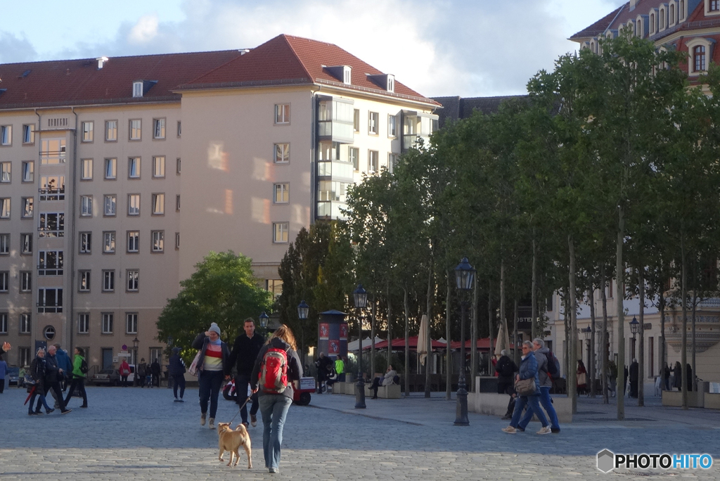 ドイツ   (1140)  ドレスデンで柴犬を連れた方を撮る！