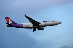☀「青い空」が一番HAWAIAN A330-243 N378HA到着しました