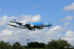 「すかい」 ANA Flying Honu 到着です