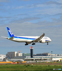 「青が好き」 ANA 787-9 JA892A 到着
