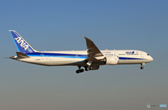 「あおぞら」 ANA 787-9 JA883A 到着です