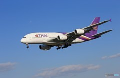 「すかい」 Thai A380-841 HS-TUA 着陸