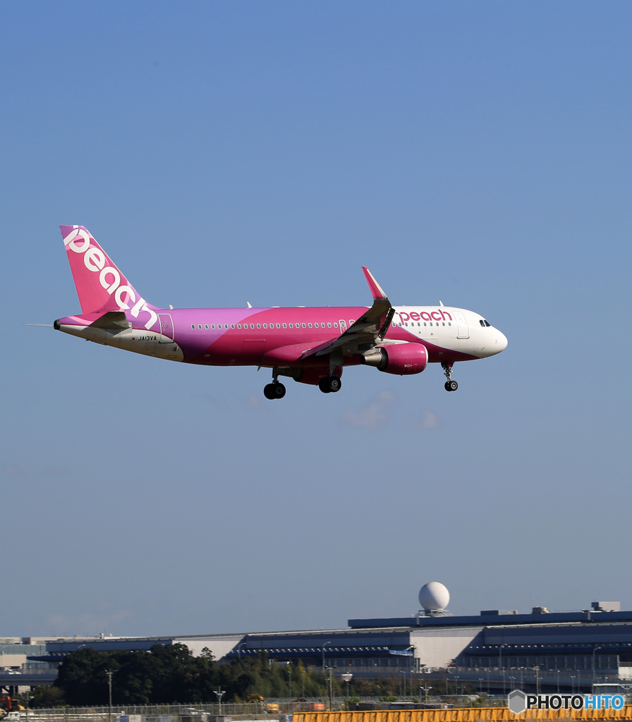 「スカイ」Peach A320-214 JA13VA  Landing