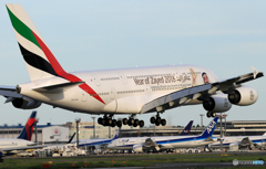 「すかい」 エミレーツ特別塗装 A380-861 Landing