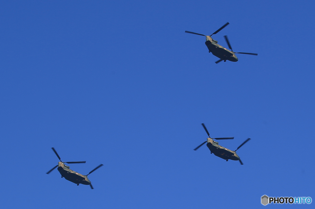 「青が好き」陸上自衛隊　JGSDF ヘリコプター　チヌーク編隊だあ〜