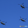 「青が好き」陸上自衛隊　JGSDF ヘリコプター　チヌーク編隊だあ〜