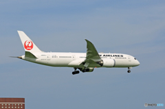 「青空」 JAL 787-8 JA842J 到着