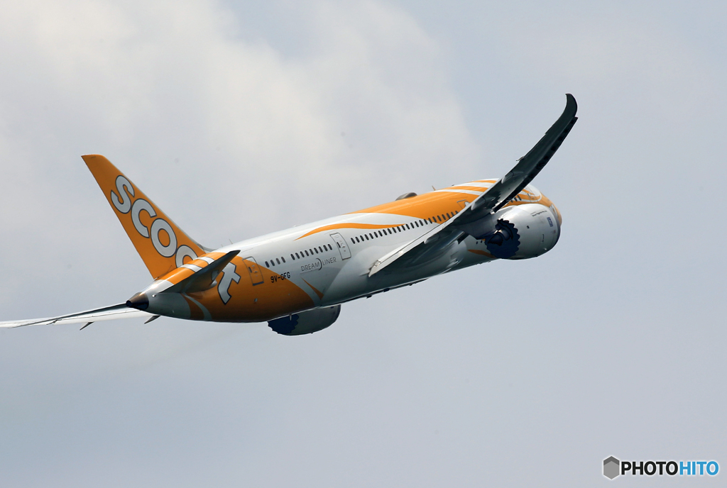 「青色」スクート 787-9 9V-OFG  離陸