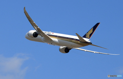 「青色が好き」 Singapore 787-10 9V-SCE Takeoff