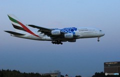 「あおぞら」 エミレーツ特別塗装EXPO「青」到着