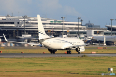 「群青」 Private B737-8JM T7-GSA Takeoff