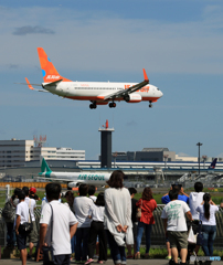 「SKY」 JEJU 737-8FH HL8303 着陸