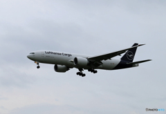 「雲 」Cargo機活躍　Lufthansa 777-FBT