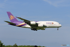 「SKY」 THAI A380-841 HS-TUC Landing