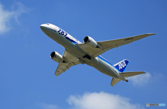 「ぶるー」 ANA 787-8 JA814A 出発