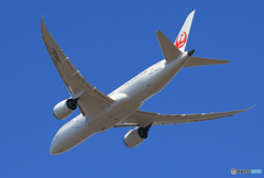 「真青の空」 JAL 787-8 JA845J飛ぶ