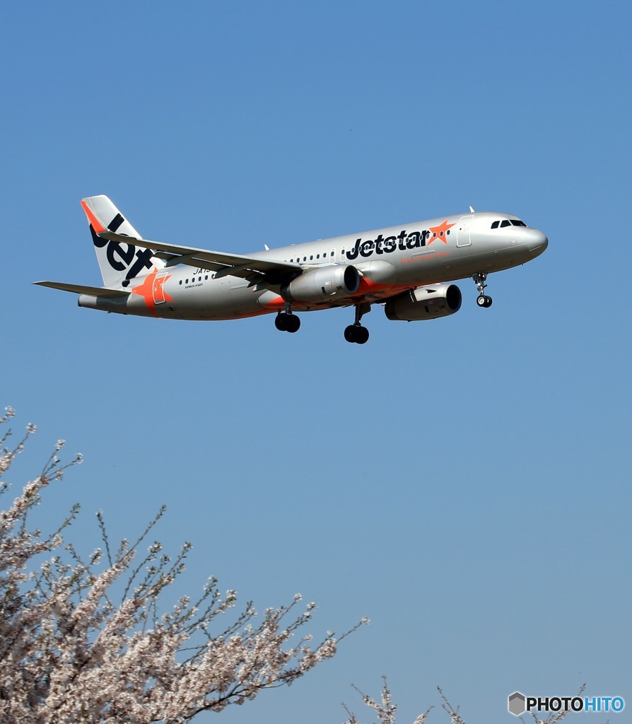 「群青色」Jetstar A320-232 JA13JJ 来た～